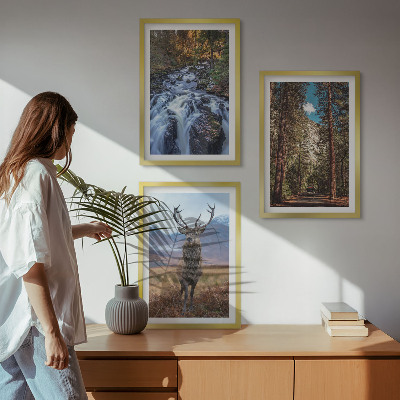 Bilder-3er-set mit rahmen Wasserfall Wald Berge Hirsch Natur
