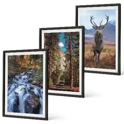 3er-Set Wandbilder mit Rahmen mit Motiv Wald, Wasserfall, Bergen und Hirsch