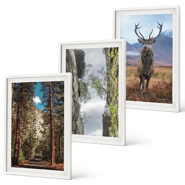 Gerahmtes Bilderset mit Motiven von Straße, Wald, Bergen und einem Hirsch in der Natur
