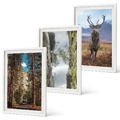 Gerahmtes Bilderset mit Motiven von Straße, Wald, Bergen und einem Hirsch in der Natur