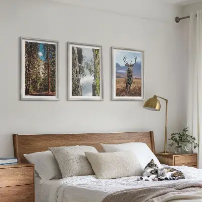 Gerahmtes Bilderset mit Motiven von Straße, Wald, Bergen und einem Hirsch in der Natur