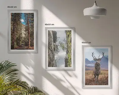 Gerahmtes Bilderset mit Motiven von Straße, Wald, Bergen und einem Hirsch in der Natur