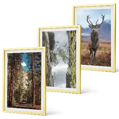 Gerahmtes Bilderset mit Motiven von Straße, Wald, Bergen und einem Hirsch in der Natur
