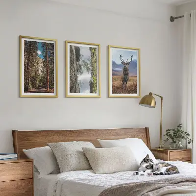 Gerahmtes Bilderset mit Motiven von Straße, Wald, Bergen und einem Hirsch in der Natur