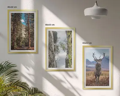 Gerahmtes Bilderset mit Motiven von Straße, Wald, Bergen und einem Hirsch in der Natur