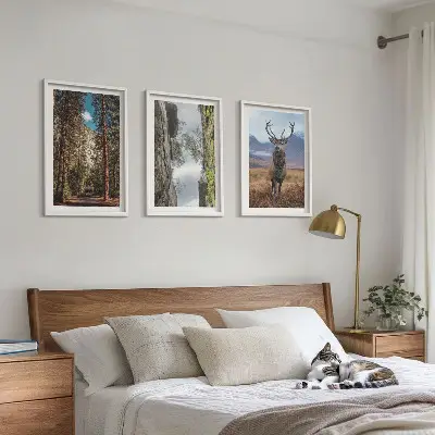 Gerahmtes Bilderset mit Motiven von Straße, Wald, Bergen und einem Hirsch in der Natur