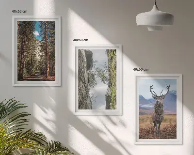 Gerahmtes Bilderset mit Motiven von Straße, Wald, Bergen und einem Hirsch in der Natur
