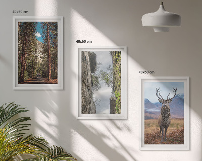 Gerahmtes bilderset Straße Wald Berge Hirsch Natur