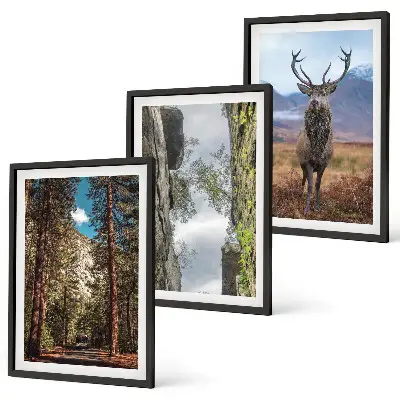 Gerahmtes Bilderset mit Motiven von Straße, Wald, Bergen und einem Hirsch in der Natur