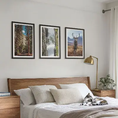 Gerahmtes Bilderset mit Motiven von Straße, Wald, Bergen und einem Hirsch in der Natur