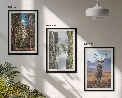 Gerahmtes Bilderset mit Motiven von Straße, Wald, Bergen und einem Hirsch in der Natur