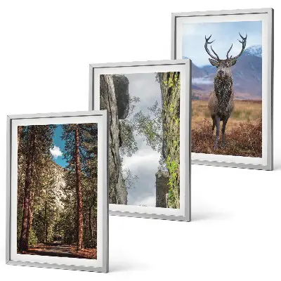 Gerahmtes Bilderset mit Motiven von Straße, Wald, Bergen und einem Hirsch in der Natur