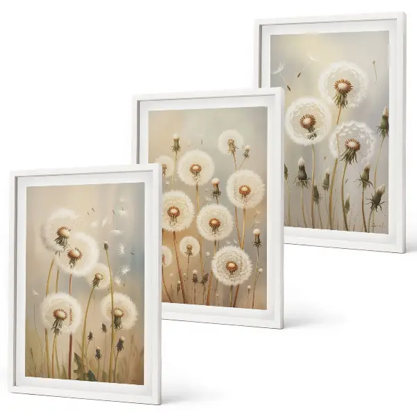 Wandbilder-Set mit Rahmen weiße Löwenzahnblüten auf hellem Hintergrund 3-teilig