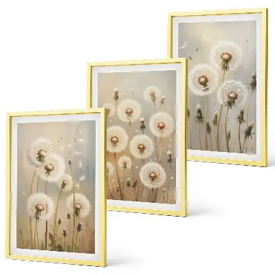 Wandbilder-Set mit Rahmen weiße Löwenzahnblüten auf hellem Hintergrund 3-teilig