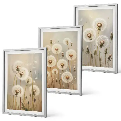 Wandbilder-Set mit Rahmen weiße Löwenzahnblüten auf hellem Hintergrund 3-teilig