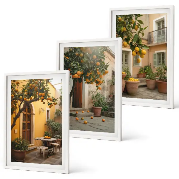 Garten-Zitrus-Sonne 3er-Set Bilder mit Rahmen