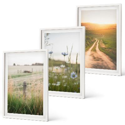 Bilder-3er-set mit rahmen Landschaften Natur Felder Weg