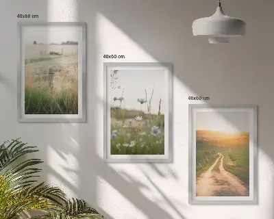 3er-Set Bilder mit Rahmen Landschaften mit Naturmotiven von Feldern und Wegen