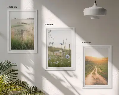 3er-Set Bilder mit Rahmen Landschaften mit Naturmotiven von Feldern und Wegen
