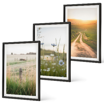 Bilder-3er-set mit rahmen Landschaften Natur Felder Weg