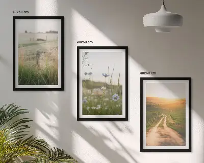 3er-Set Bilder mit Rahmen Landschaften mit Naturmotiven von Feldern und Wegen