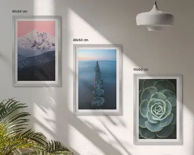 Gerahmtes Bilderset mit Motiven von Bergen, rosa Himmel, Wasser und Sukkulenten