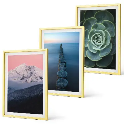 Gerahmtes Bilderset mit Motiven von Bergen, rosa Himmel, Wasser und Sukkulenten