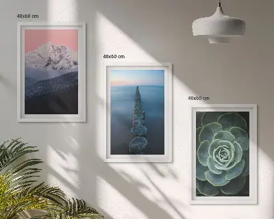 Gerahmtes Bilderset mit Motiven von Bergen, rosa Himmel, Wasser und Sukkulenten