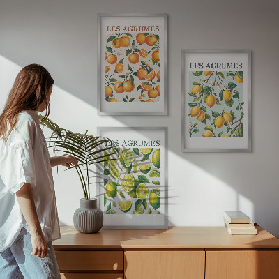 Bilder-3er-set mit rahmen Fruchtige Zitrus-Pastellmuster
