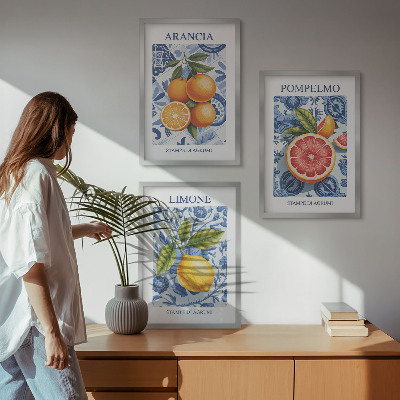 Bilder-3er-set mit rahmen Vintage-Illustrationen von Zitrusfrüchten