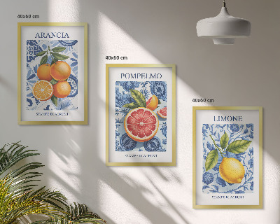 Bilder-3er-set mit rahmen Vintage-Illustrationen von Zitrusfrüchten