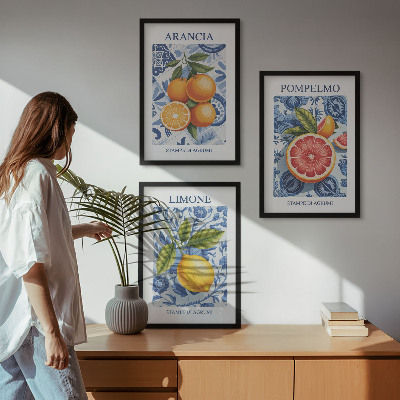 Bilder-3er-set mit rahmen Vintage-Illustrationen von Zitrusfrüchten
