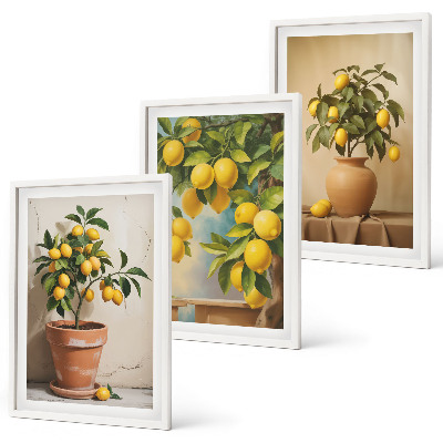 Bilder-3er-set mit rahmen Zitronenbäumchen im Topf und in der Vase