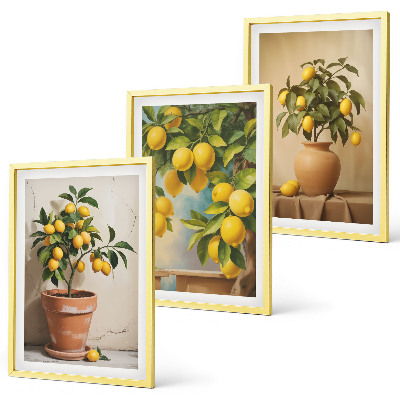 Bilder-3er-set mit rahmen Zitronenbäumchen im Topf und in der Vase