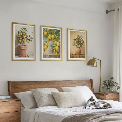 Zitronenbäumchen im Topf und in der Vase 3er-Set Bilder mit Rahmen