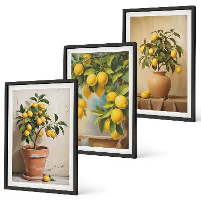 Bilder-3er-set mit rahmen Zitronenbäumchen im Topf und in der Vase