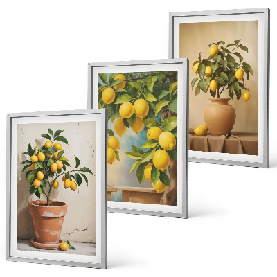 Bilder-3er-set mit rahmen Zitronenbäumchen im Topf und in der Vase