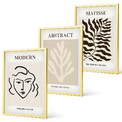 Matisse Gesicht und Blätter Kunstwerk 3er-Set Bilder mit Rahmen