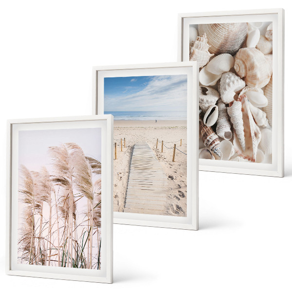 Bilder-3er-set mit rahmen Strandmuscheln Seegras