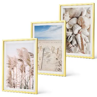 Strandmuscheln Seegras 3er-Set Bilder mit Rahmen