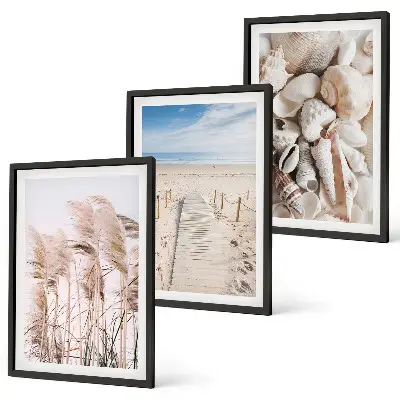 Strandmuscheln Seegras 3er-Set Bilder mit Rahmen