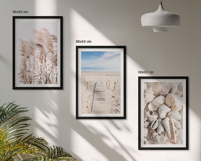 Bilder-3er-set mit rahmen Strandmuscheln Seegras