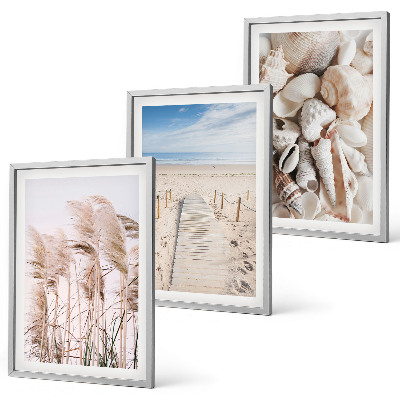 Bilder-3er-set mit rahmen Strandmuscheln Seegras