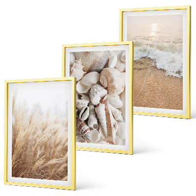Bilder-3er-set mit rahmen Strandmotive, Muscheln, Wellen