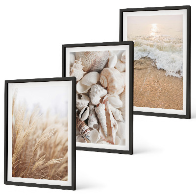 Bilder-3er-set mit rahmen Strandmotive, Muscheln, Wellen