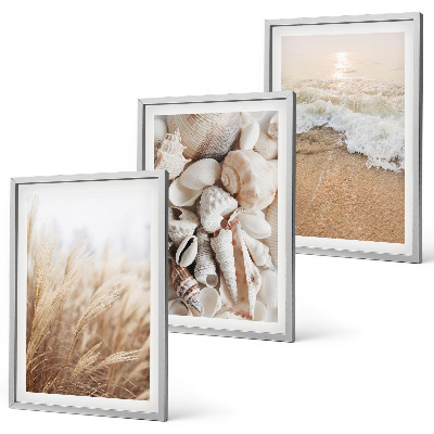 Bilder-3er-set mit rahmen Strandmotive, Muscheln, Wellen