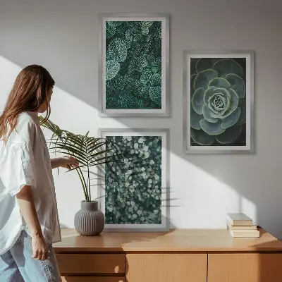 Sukkulenten gerahmtes Bilderset