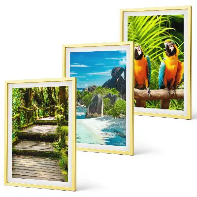 Gerahmtes Bilderset tropischer Wald mit Wasserfall und Papageien