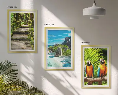 Gerahmtes Bilderset tropischer Wald mit Wasserfall und Papageien