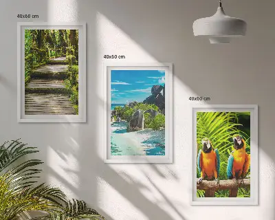 Gerahmtes Bilderset tropischer Wald mit Wasserfall und Papageien